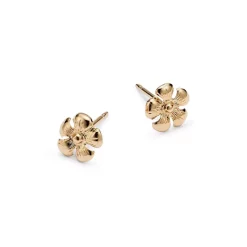 Best Pirce 😍 Moon & Meadow Daisy Stud Earrings In 14K Yellow Gold 💯 -Moon Sales Store unnamed file 297