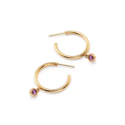 Cheap 💯 Moon & Meadow 14K Yellow Gold Amethyst Hoop Earrings - 100% Exclusive Purple/gold 👏 -Moon Sales Store unnamed file 481
